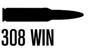 .308 Winchester .308 Winchester