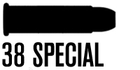 .38 Special .38 Special
