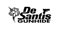 DeSantis