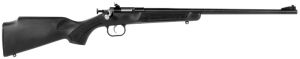 Crickett Youth 22LR Rifle Black Synthetic Stock